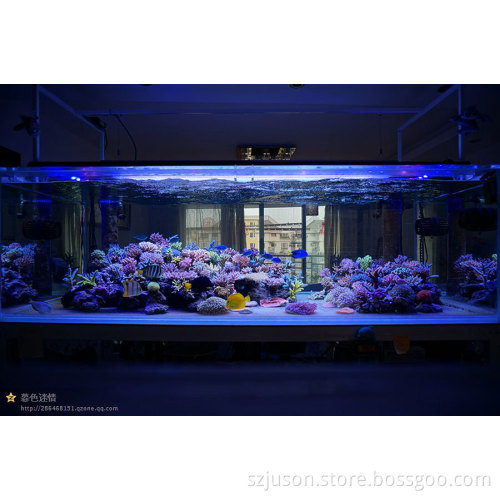 Fashion fish tank sunrise and sunset led aquarium light with high power high quality and long lifespan